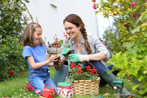 Eco-friendly lawn maintenance practices in Southwark